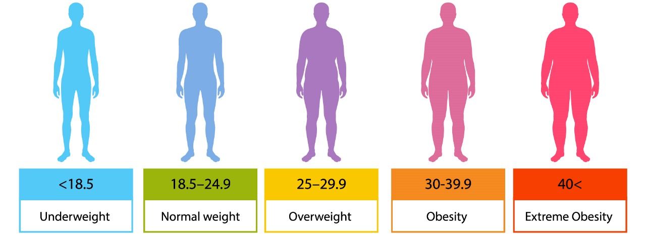 BMI Calculator: How to Measure and Use It Right