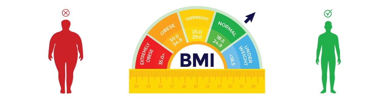 BMI vs Body Fat Percentage: Which is More Accurate for Health?