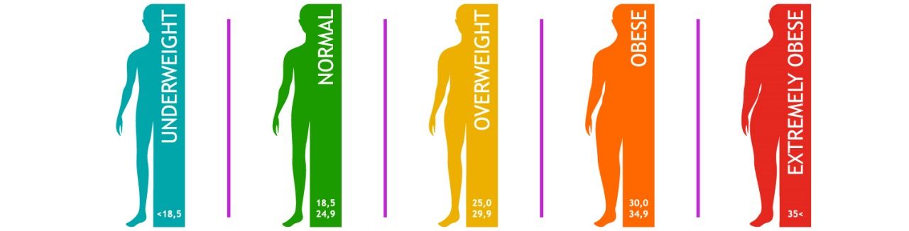 BMI for Seniors: What’s a Healthy Range as You Age?